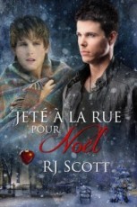 jete-a-la-rue-pour-noel-463901-250-400